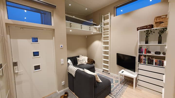 พื้นที่อยู่อาศัย