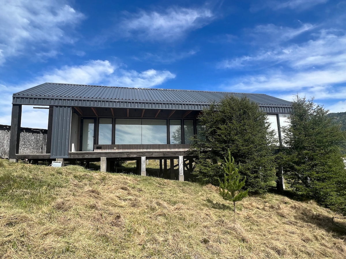 A modern house is situated on a grassy terrain, with large windows providing expansive views. The structure is elevated on stilts, and the surrounding area features several evergreen trees under a clear blue sky. The building's angular design is highlighted by a metal roof.