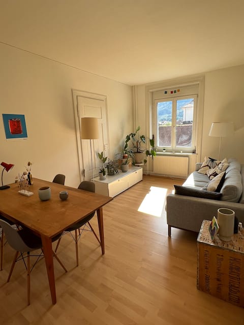 Successful Airbnb property: Apartment in Zurich Wiedikon in Sihlfeld