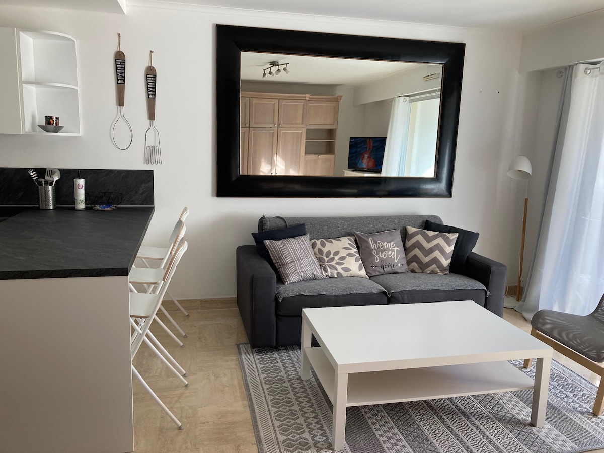 Erfolgreiche Airbnb-Immobilie: 100 m. plage, 30m2, terrasse, piscine, parking in Cagnes Sur Mer