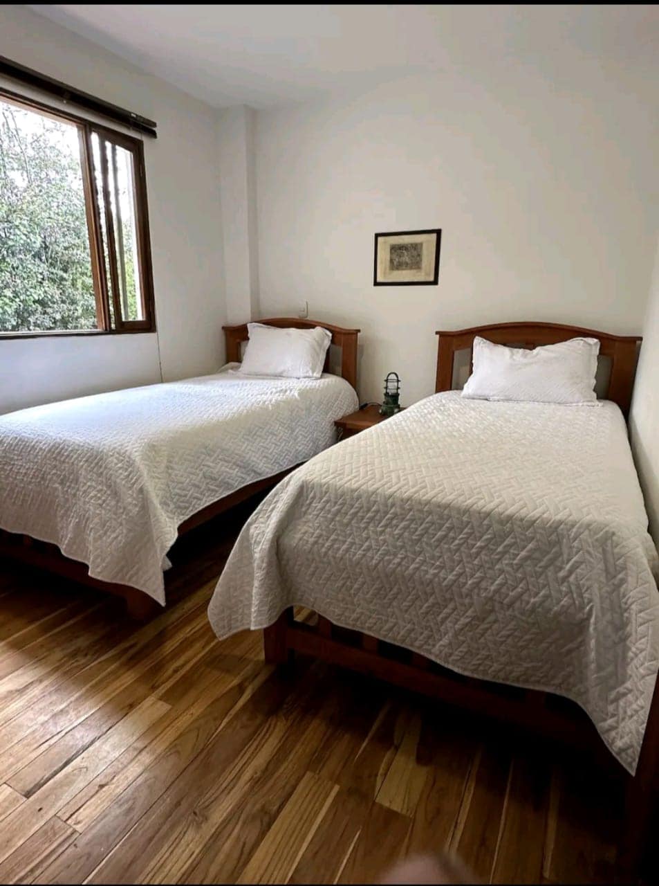 ห้องพักพร้อมเตียงเดี่ยว 4 เตียง เหมาะสำหรับเด็ก เพื่อน หรือครอบครัว พื้นที่อบอุ่น มีแสงสว่าง และมองเห็นภูมิทัศน์สีเขียวของริโอเนโกร