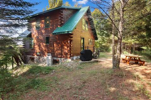 Cozy Cabin in the Pines