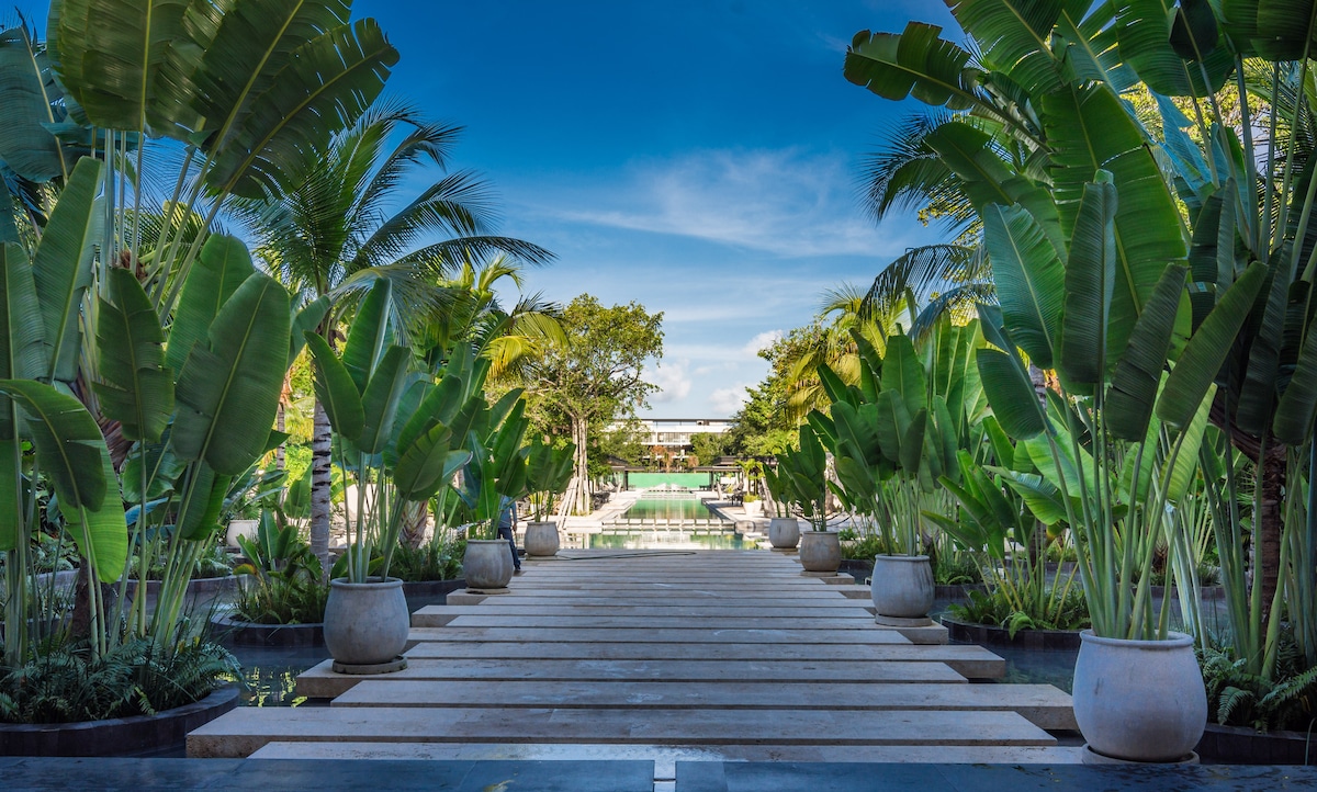 A serene pathway is framed by lush palm trees and greenery, leading toward a tranquil pool area. The scene features stone steps and large planters, enhancing the natural appeal of the outdoor oasis under a clear blue sky.