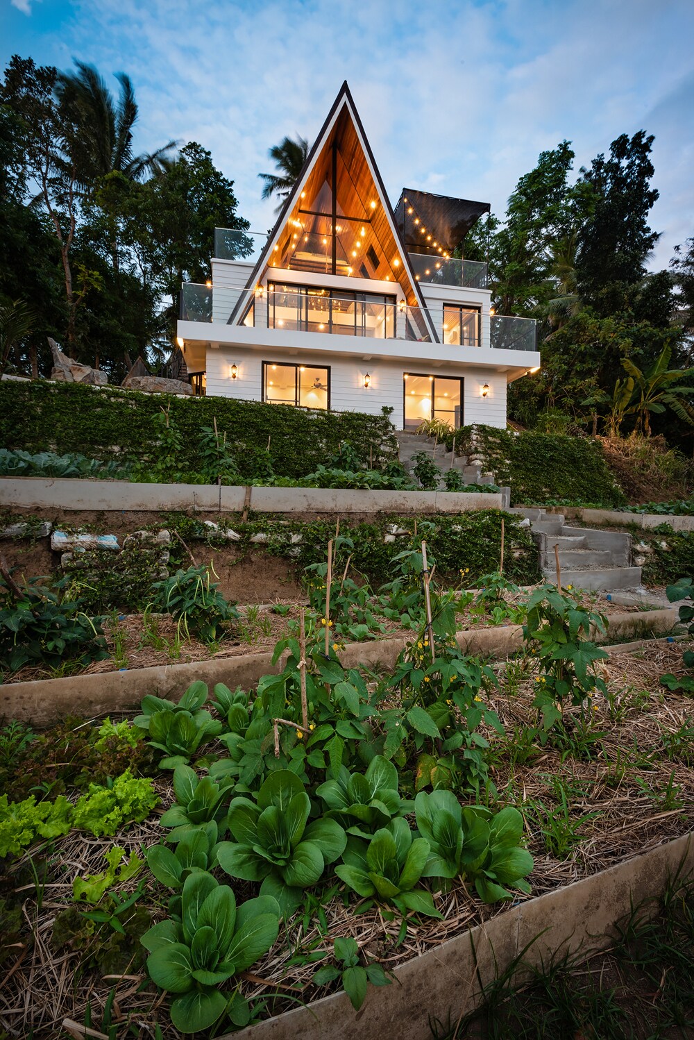 A modern farmhouse features a distinct triangular roof and large glass windows, blending with the surrounding greenery. In the foreground, raised garden beds showcase various organic vegetables. The soft evening light enhances the inviting look of the home and its natural surroundings.