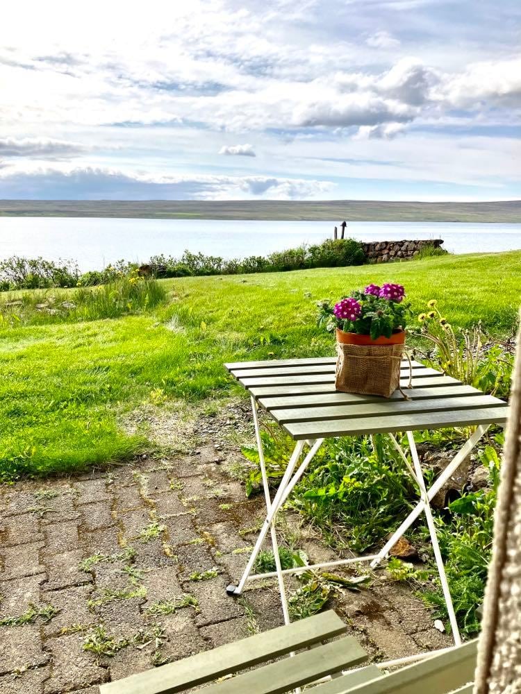 A small outdoor table is set with a potted plant featuring vibrant purple flowers. The table is positioned on a grassy area overlooking the water, with gentle waves visible in the distance under a partly cloudy sky.