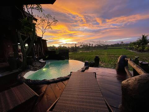 Special price in December! 2BR w pool