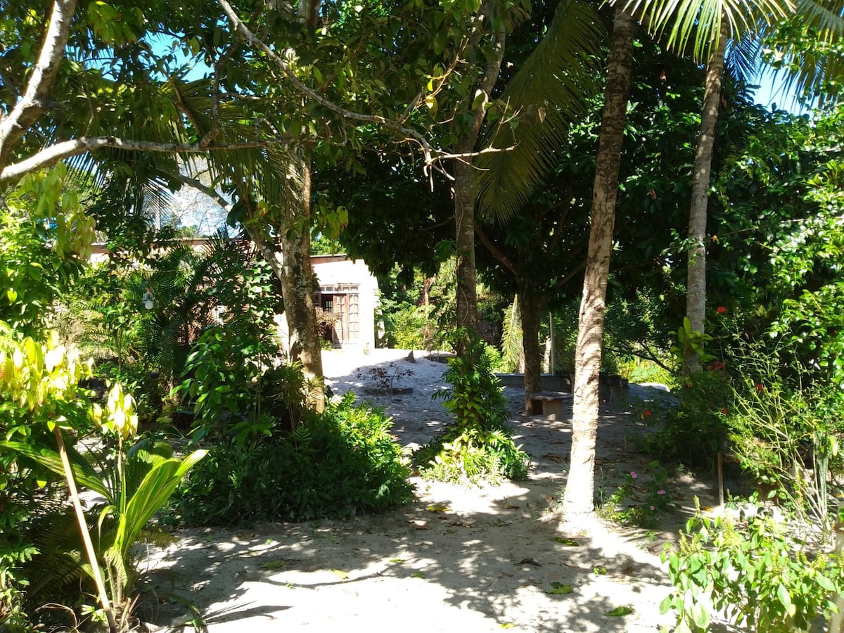 A serene outdoor area is surrounded by lush greenery, featuring tall palm trees and various shrubs. A sandy path leads towards a rustic structure, partially visible through the foliage. Sunlight filters through the leaves, creating dappled light on the ground.