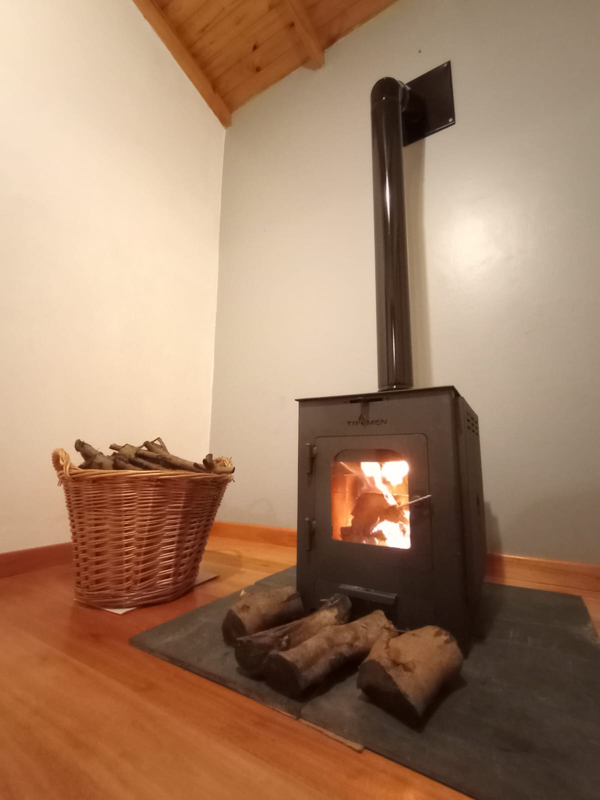 Propiedad de Airbnb exitosa: Cabaña Templanza en Primera Sección