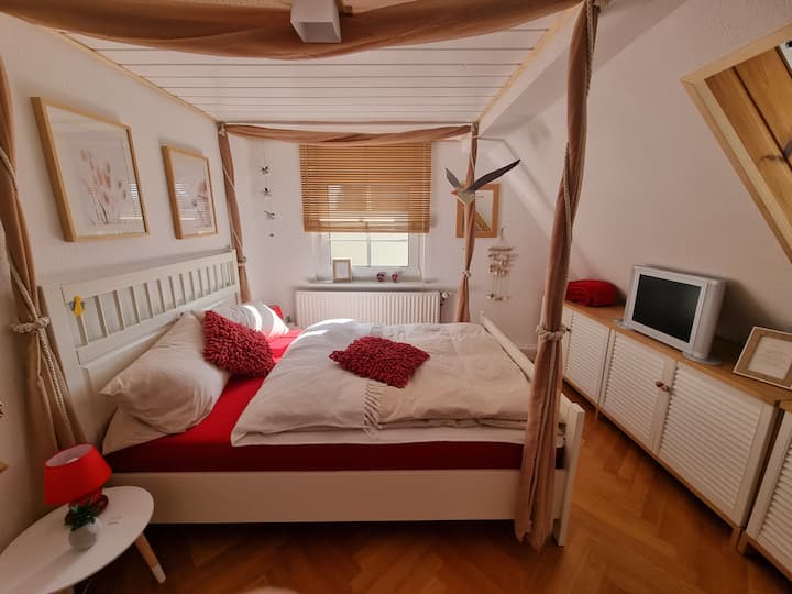 Paradis des mouettes avec TV