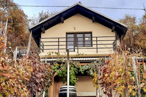 Vineyard Cottage Kulovec