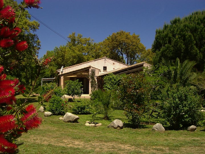 Neu Renovierter Bungalow Mit Großem Garten - Porto-Vecchio
