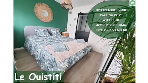 Successful Airbnb property: Le Ouistiti - 50 m from the Train Station - Private Parking in Tours