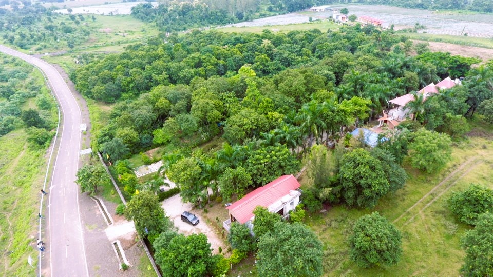 An aerial view captures the lush greenery surrounding the property, with various trees creating a dense canopy. Industry and open fields are visible beyond the tree line. A winding road runs adjacent to the area, with several structures peeking through the foliage.