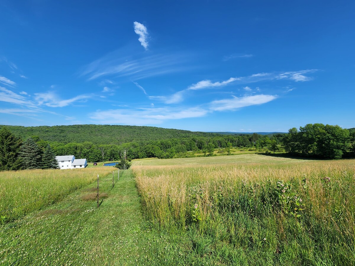 The Farmhouse Houses for Rent in Otego, New York, United States Airbnb