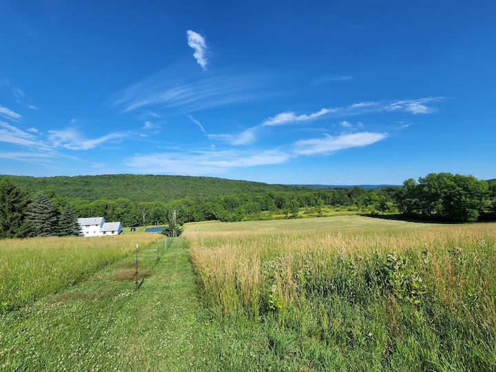 The Farmhouse Houses for Rent in Otego, New York, United States Airbnb