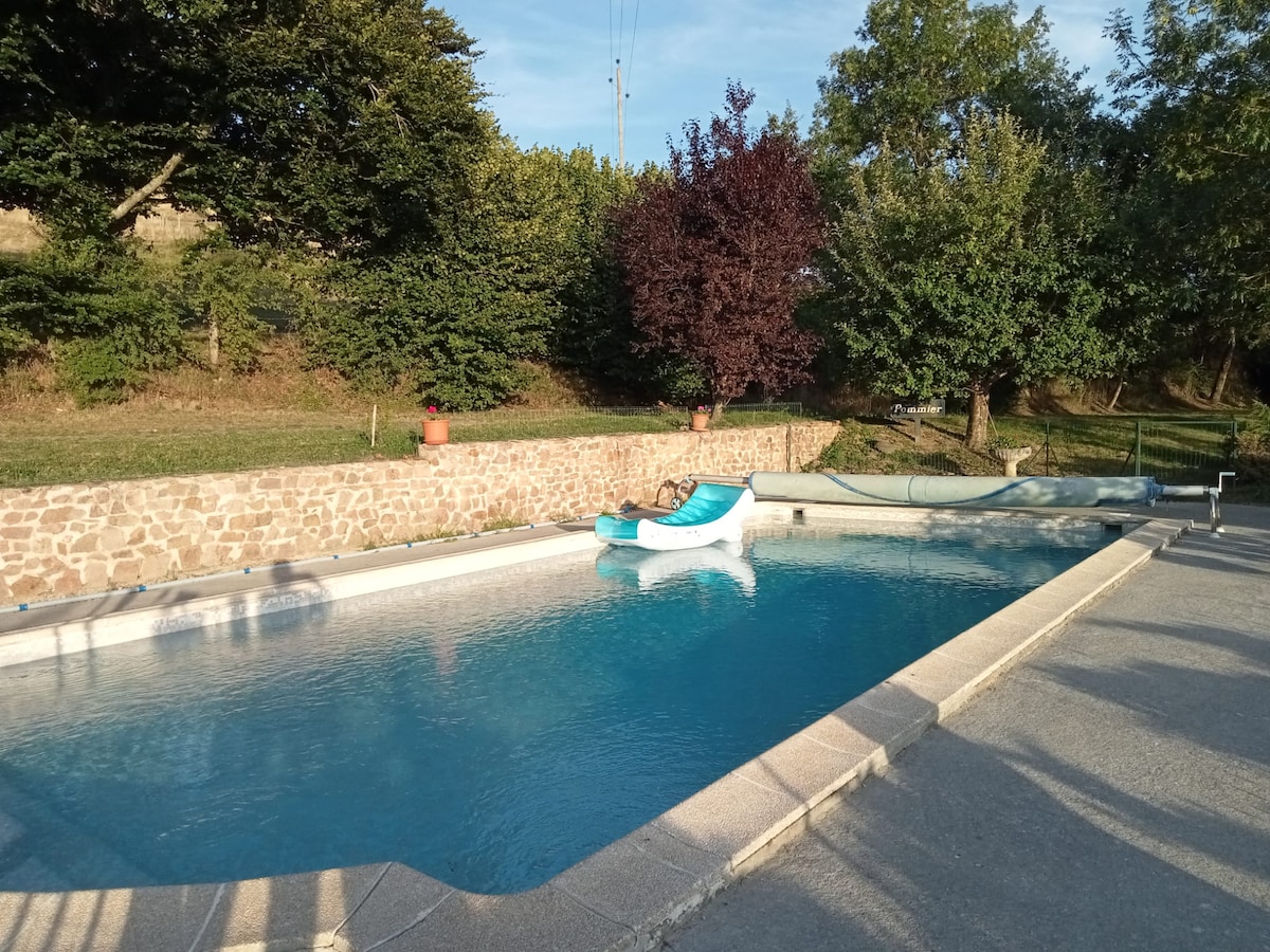A serene swimming pool is framed by landscaped greenery and a stone wall. Lounge chairs are positioned nearby, while a gently sloping slide adds a playful element. The water's surface reflects the clear sky, creating a peaceful retreat for relaxation.