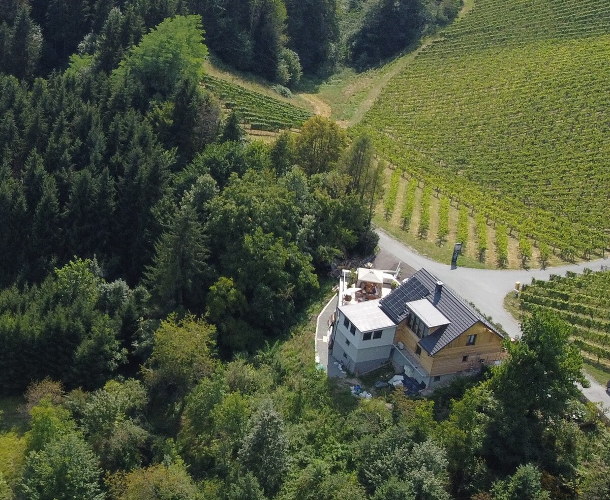 A spacious accommodation is surrounded by lush vineyards and wooded areas. The structure features a unique circular design, with a large outdoor terrace. The landscape includes rolling hills and rows of grapevines, enhancing the serene countryside setting.