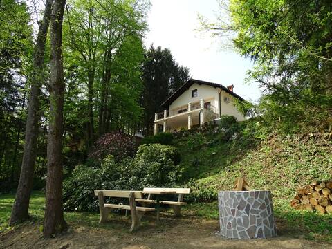 Kolpa Paradise