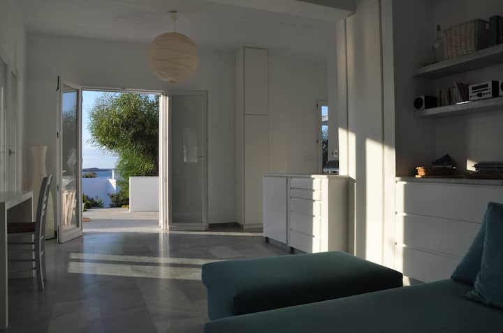 En Bord De Mer, Entre Vignes Et Oliviers - Antiparos