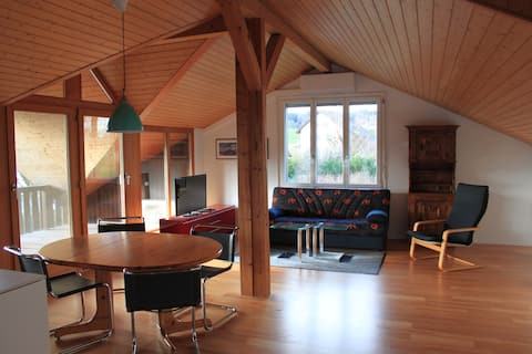 Top performing Airbnb: 3.5 room apartment with mountain views. in Nordwestschweiz