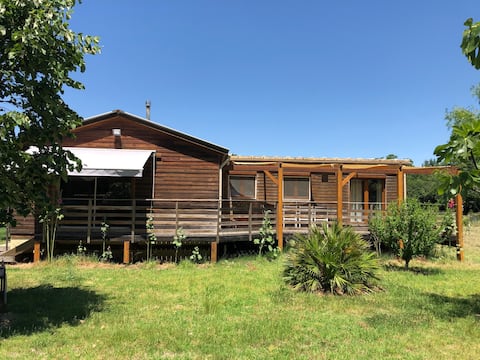 Eco-friendly and relaxing house