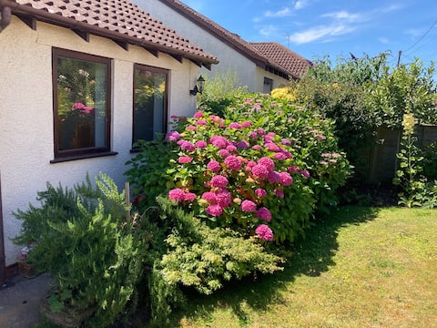 Spacious Detached Home in Central Watchet