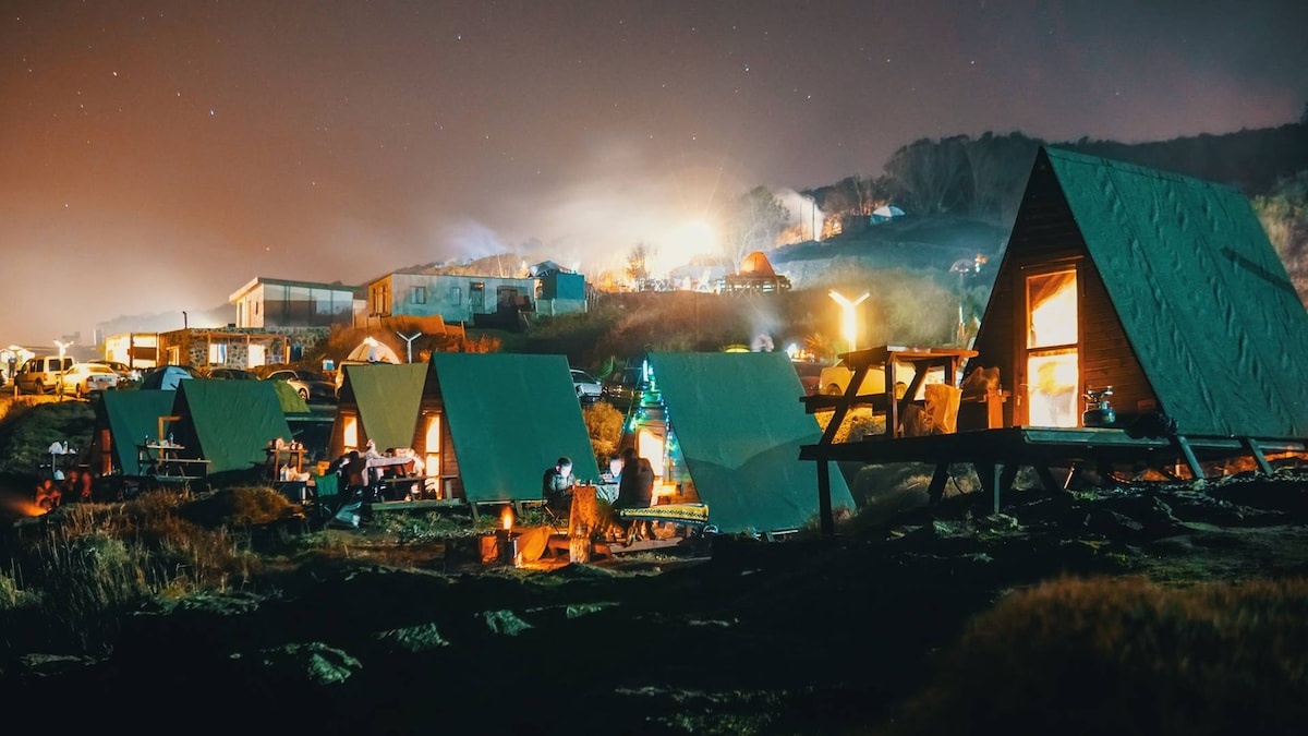 Denise Koza Bungalow