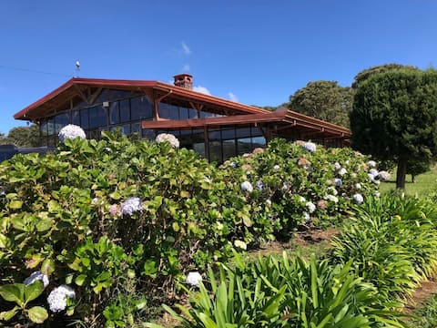 Cozy cabin with a nice view