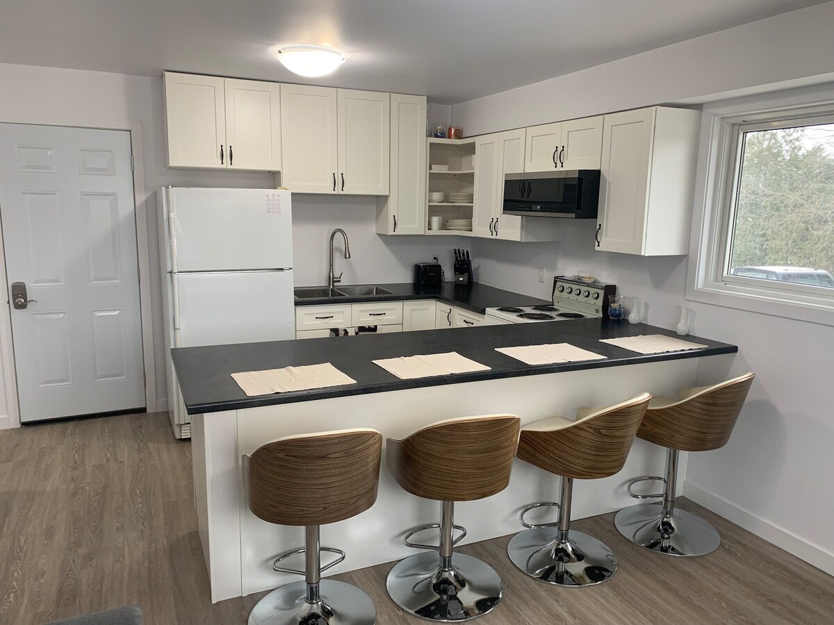 A modern kitchen area features a central island with four high-backed bar stools. White cabinets and a black countertop complement the stainless steel appliances. Natural light enters through a window overlooking greenery, while organized shelves add functional storage.