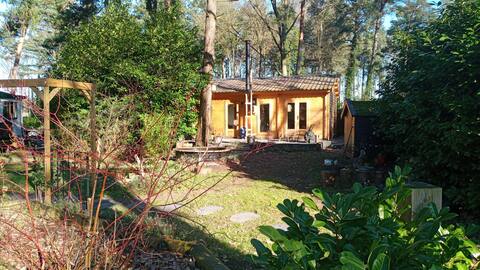 Cabin, 45m2, located in the forest.
