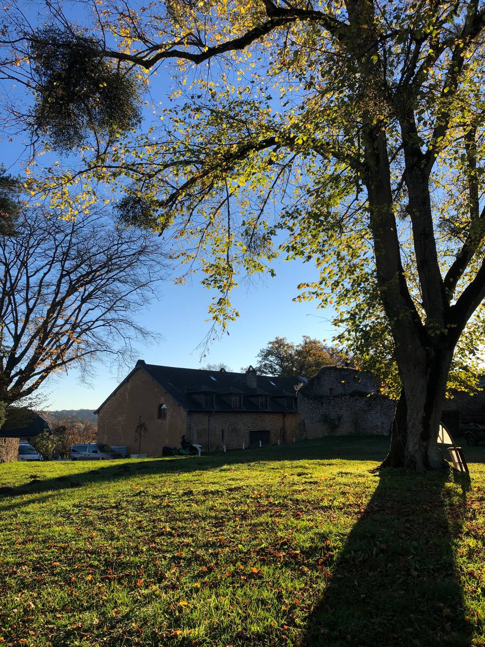 A serene outdoor view captures a historic building set against a clear blue sky. Tall trees with vibrant green leaves frame the scene, casting long shadows over the lush, green grass. The surrounding area is tranquil, providing a peaceful ambiance.