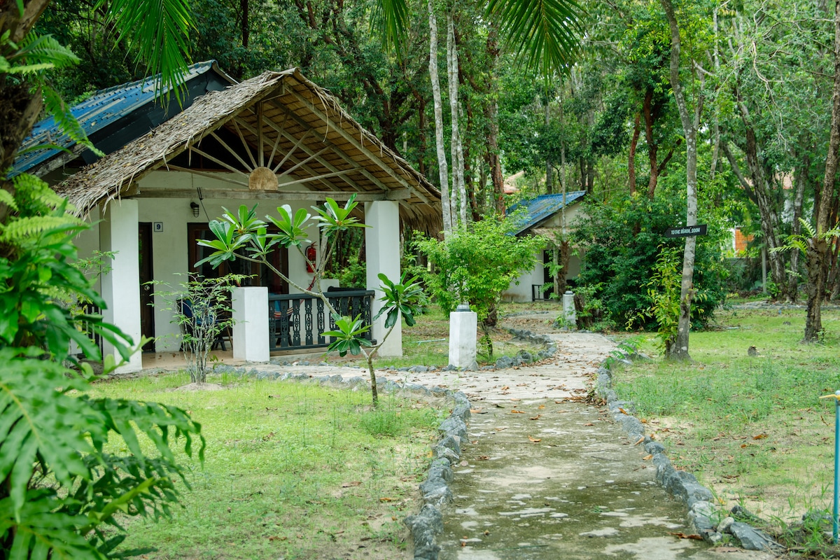 A pathway meanders through a lush garden, leading to a collection of bungalows with thatched roofs. Each bungalow features an inviting veranda, surrounded by vibrant tropical plants and trees, blending harmoniously with the natural environment.