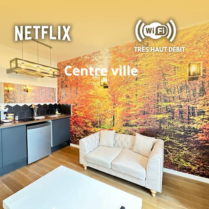 E Suite Moët Et Chandon Atypique Au Centre Ville - Épernay