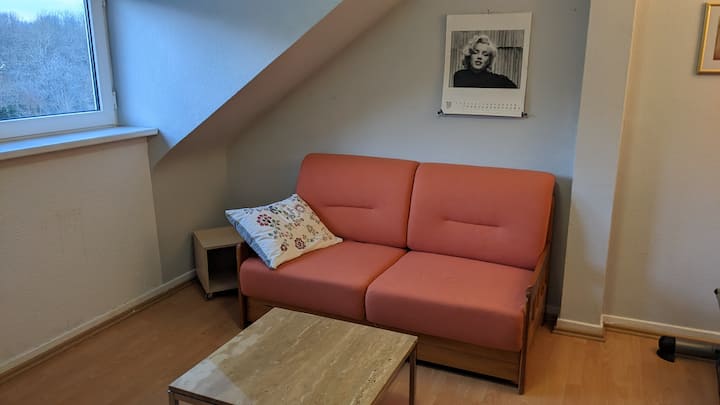 2 Zimmer Dachwohnung - Frankfurt
