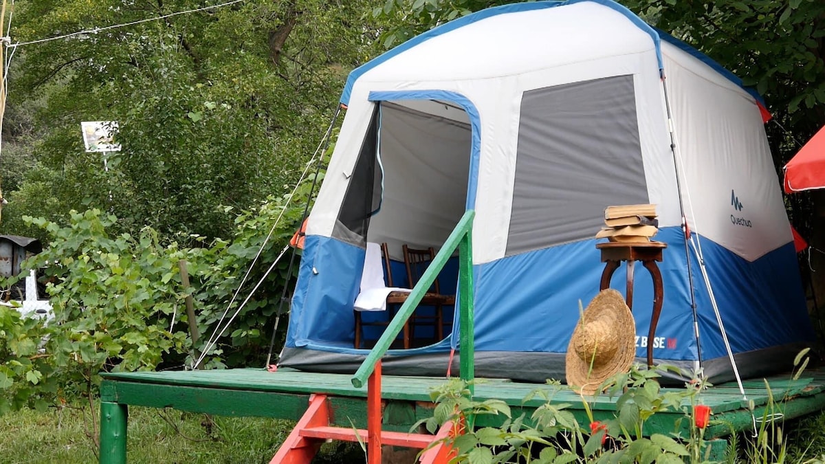 A spacious tent is situated on a wooden platform surrounded by greenery. A chair is positioned inside the tent, and a small table with books rests nearby. Sunlight filters through the trees, creating a calm and natural setting.