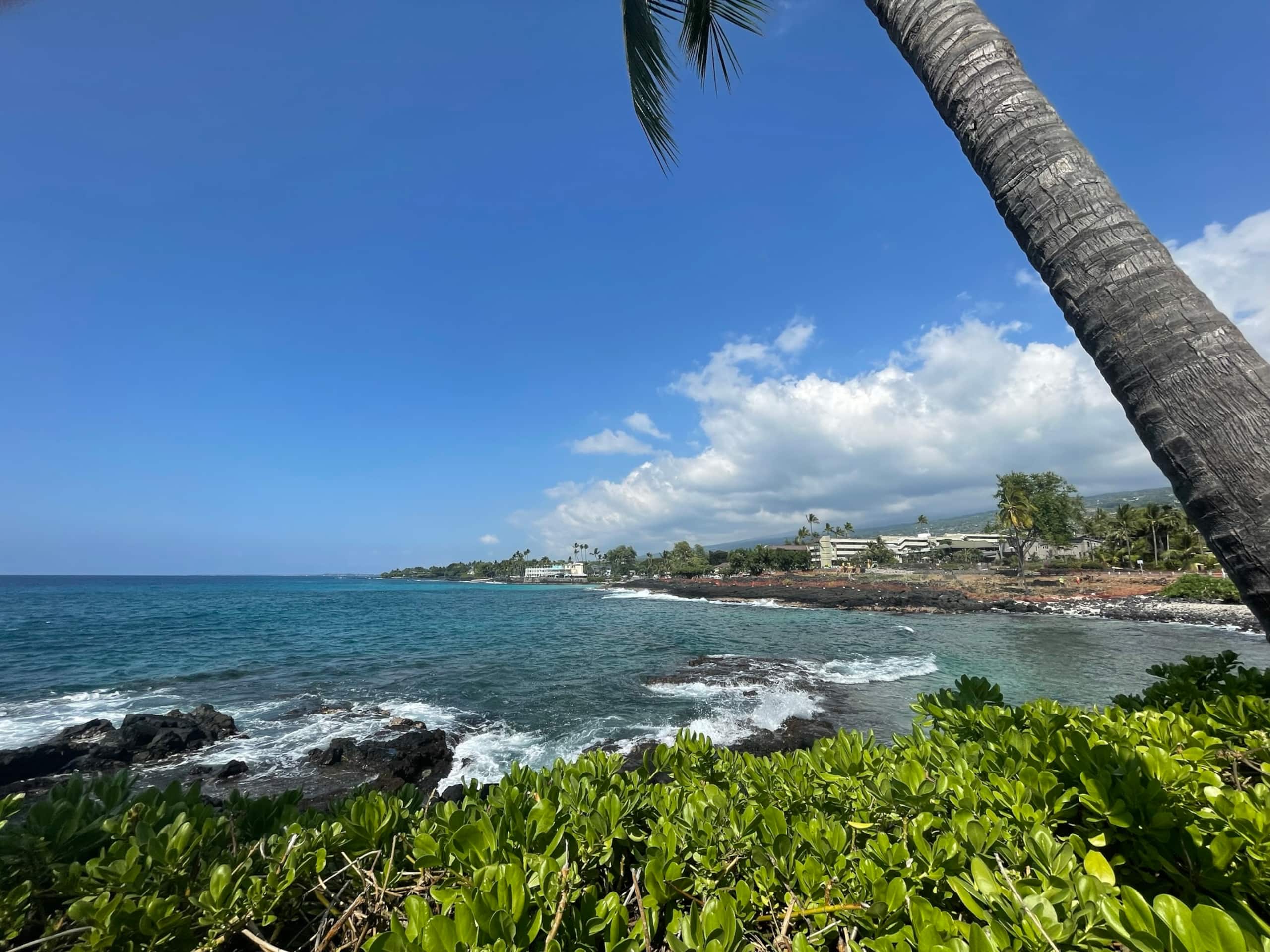Home in Kailua-Kona · ★4.89 · 3 bedrooms · 3 beds · 3 baths - Image 31