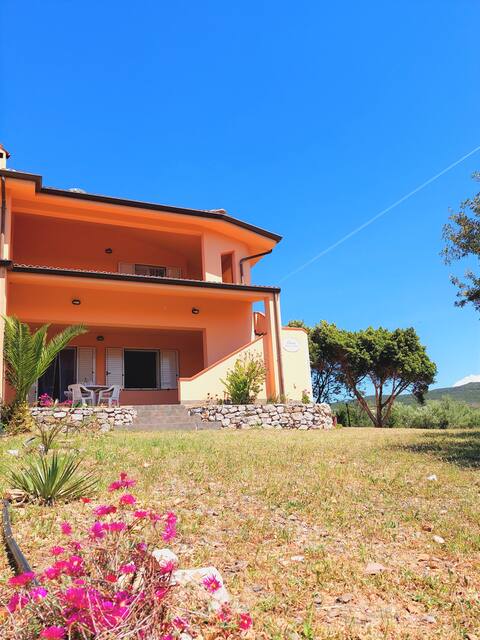 Casa Mamà (pt)