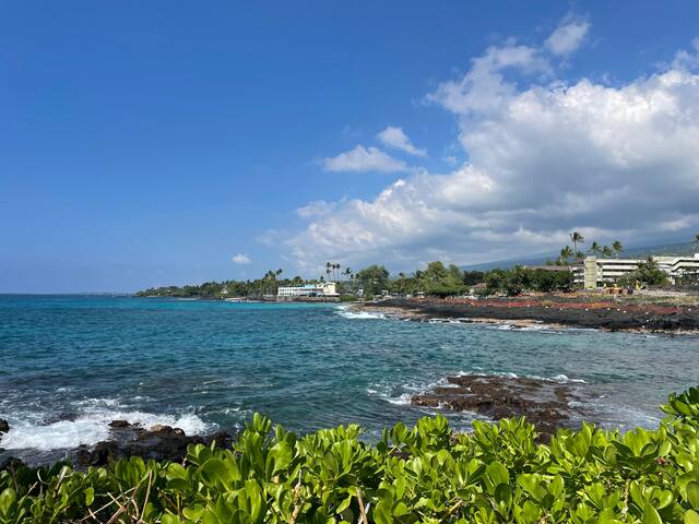 Spectacular 2 Home, Oceanfront Compound by Magics! gallery image 5