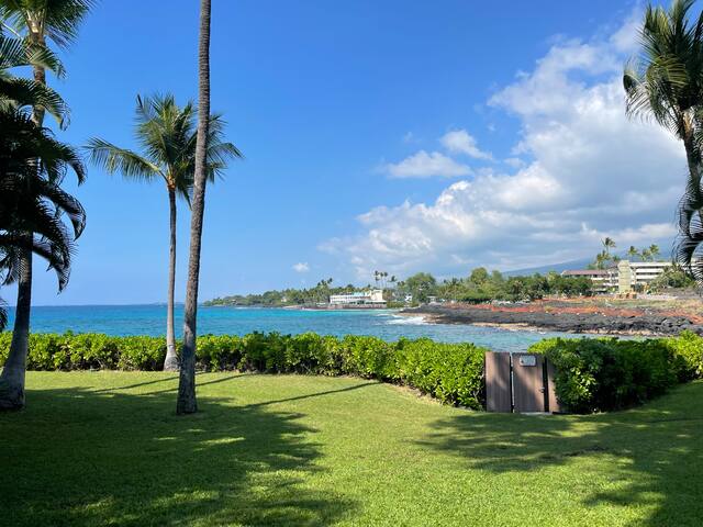 Spectacular 2 Home, Oceanfront Compound by Magics! gallery image 4