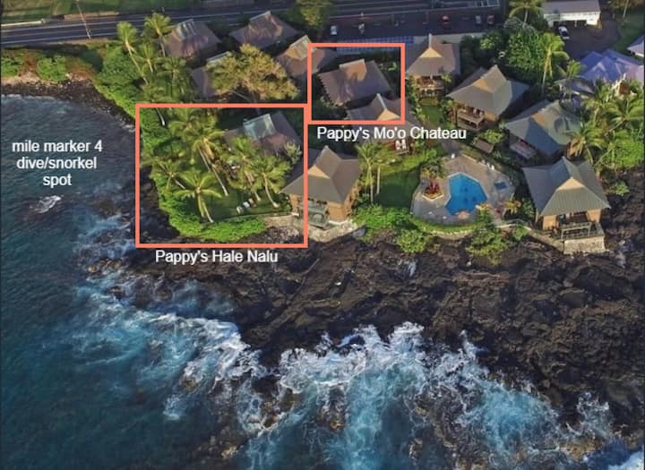 Spectacular 2 Home, Oceanfront Compound by Magics! Houses for Rent in