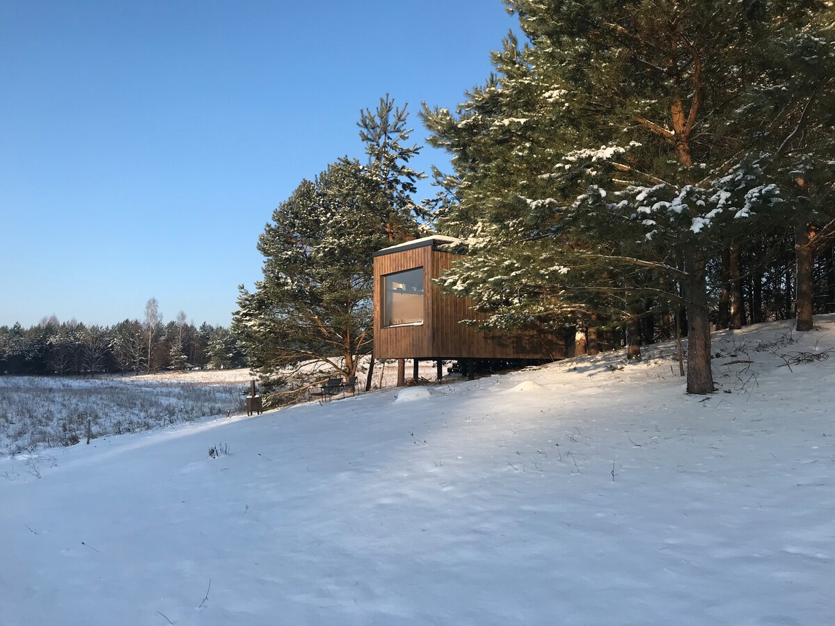 A small wooden cabin is positioned on a snowy hillside, surrounded by pine trees. Its panoramic window reflects the clear blue sky, offering a view of the white snow-covered ground. The landscape features open fields in the background, enhancing the sense of tranquility.