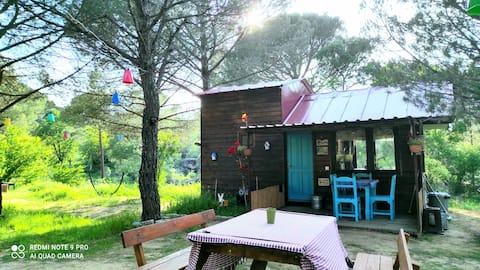 Kozak Plateau Kozalak Bungalow Dream House