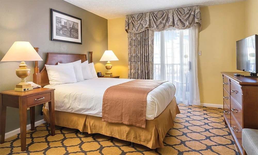 A cozy sleeping area is depicted with a spacious bed dressed in a neutral-toned blanket. A bedside table with a lamp stands beside the bed, while a window dressed with patterned curtains allows natural light. A television and dresser complete the inviting setting.
