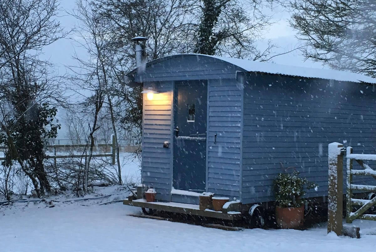 A shepherd's hut is seen amidst a snowy landscape, with light snowfall gently covering the ground. The hut is painted in soft blue, featuring a warm glow from an exterior light. Nearby, potted plants are positioned on a wooden deck in front of the hut.