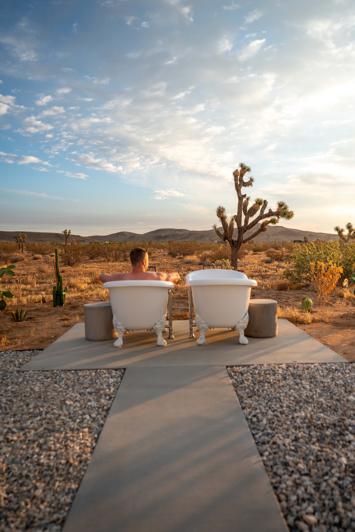 Two outdoor bathtubs are positioned on a stone deck, offering expansive views of the desert landscape. Unique vegetation, including a nearby Joshua tree, is visible against a sky filled with soft clouds. The tranquil setting promotes a sense of relaxation and connection to nature.