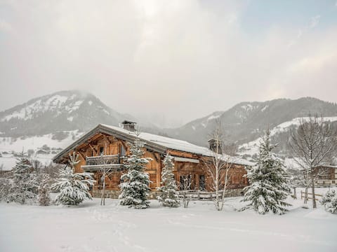 Chalet OA - Skis in Praz sur Arly Megève