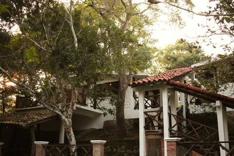 Blessed Encanto 2