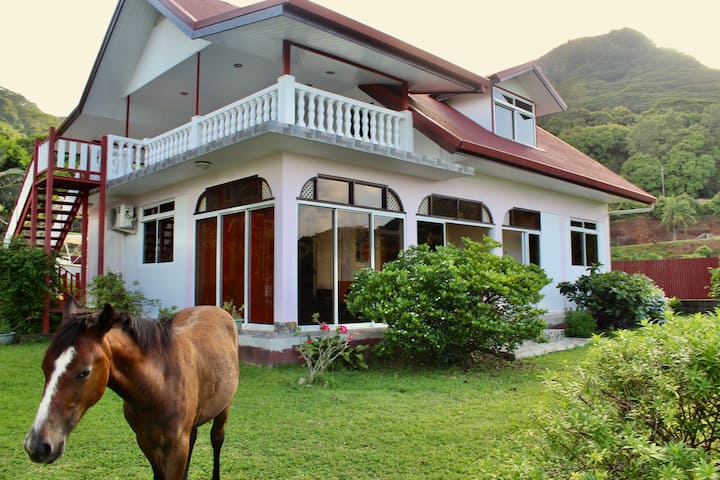 Tekauhivai: Ground floor