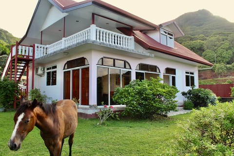 Tekauhivai: Ground floor