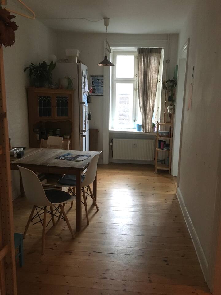 Cozy and charming apartment Apartments for Rent in Copenhagen, Denmark Airbnb
